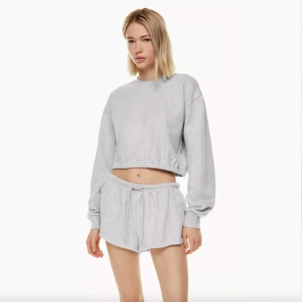 Aritzia sweatshirt